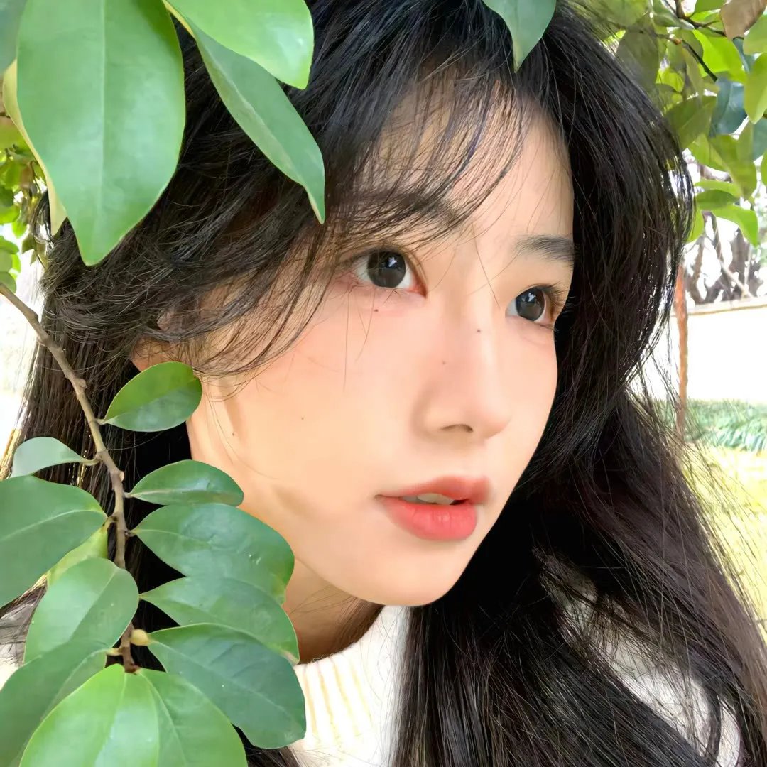 最后的告别
